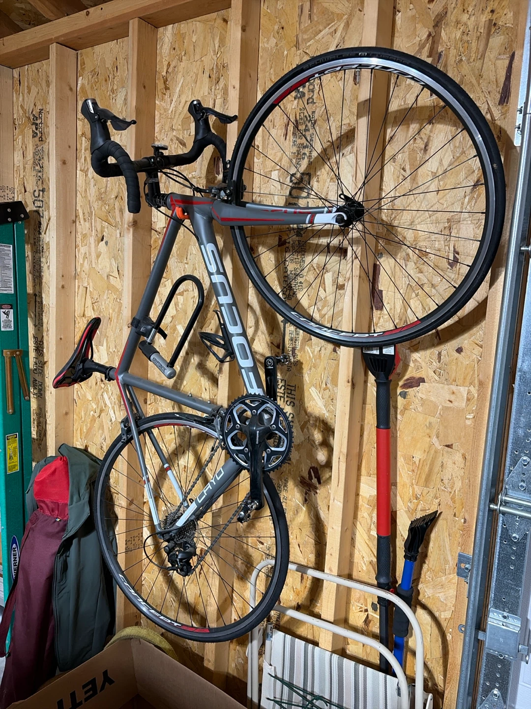 Focus Cayo Road Bike