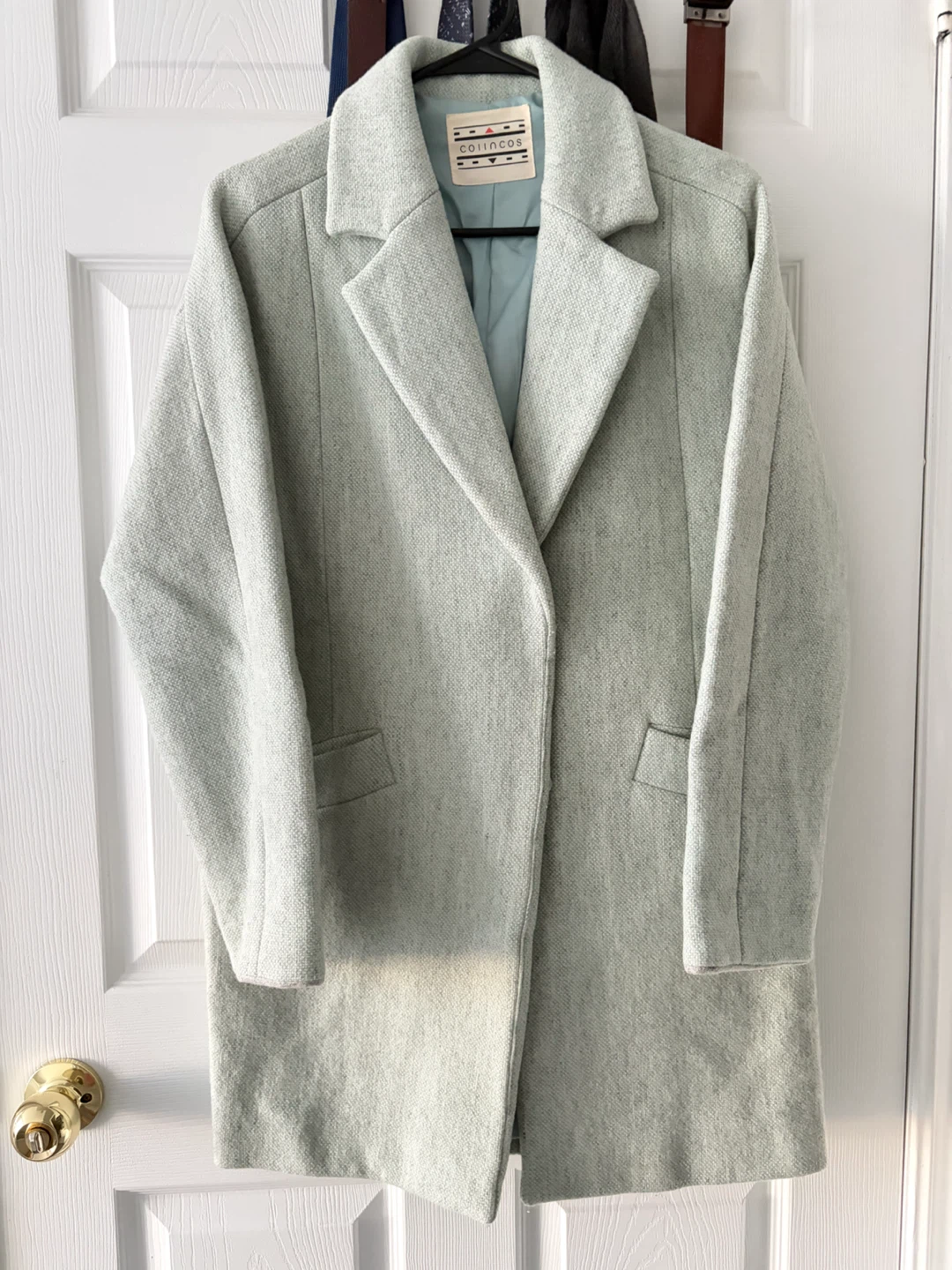 Mint colour Coat