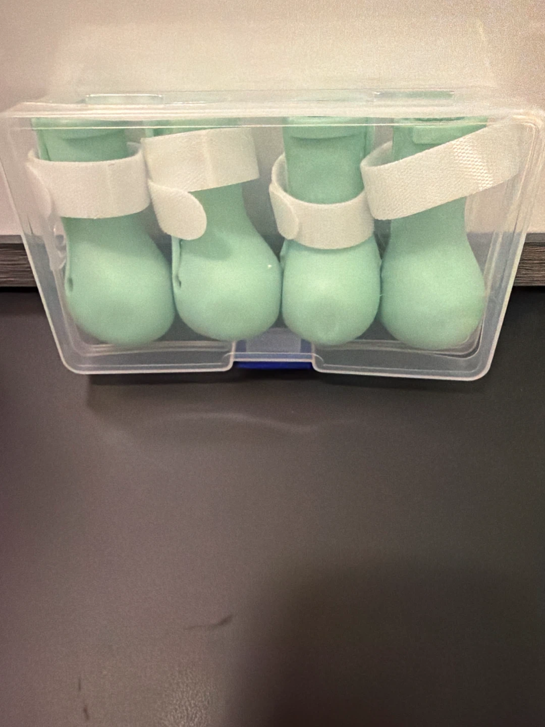 Set of 4 Mint Green Silicone Cat/Dog Boots