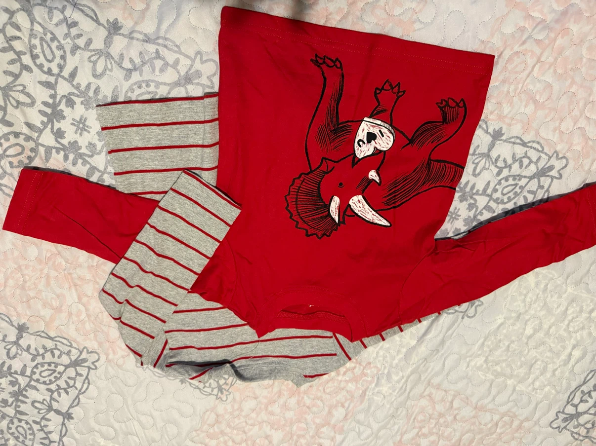 Red Dinosaur Long Sleeve Pajama Set