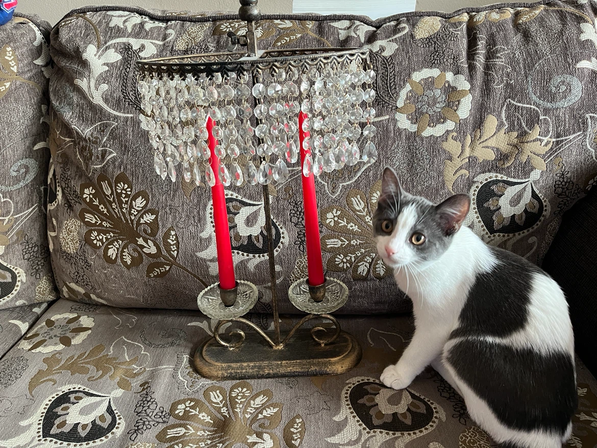 Decorative Candle Holder with Crystal Accents