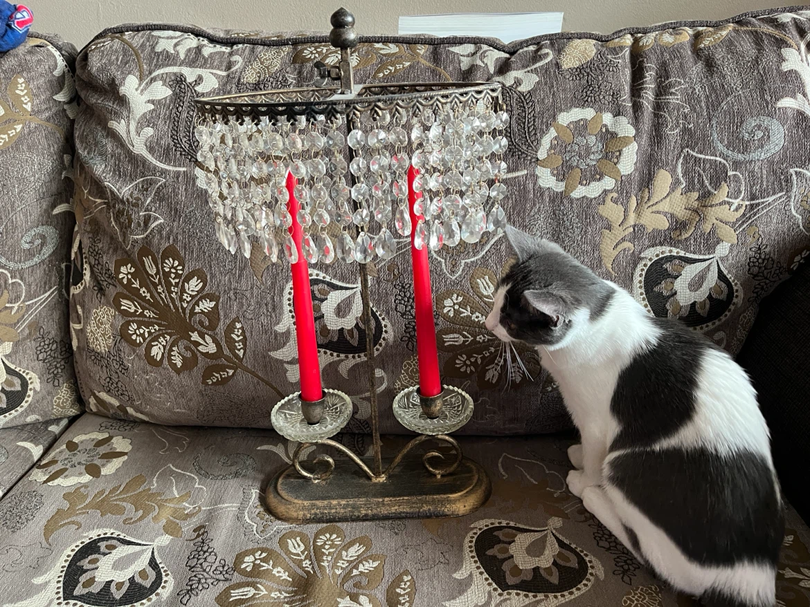 Decorative Candle Holder with Crystal Accents - photo 5