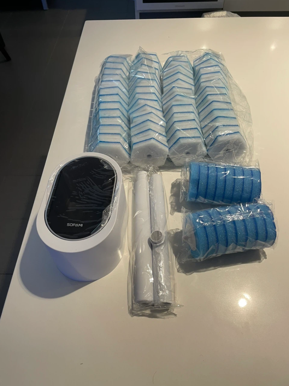 Disposable Toilet Brush System
