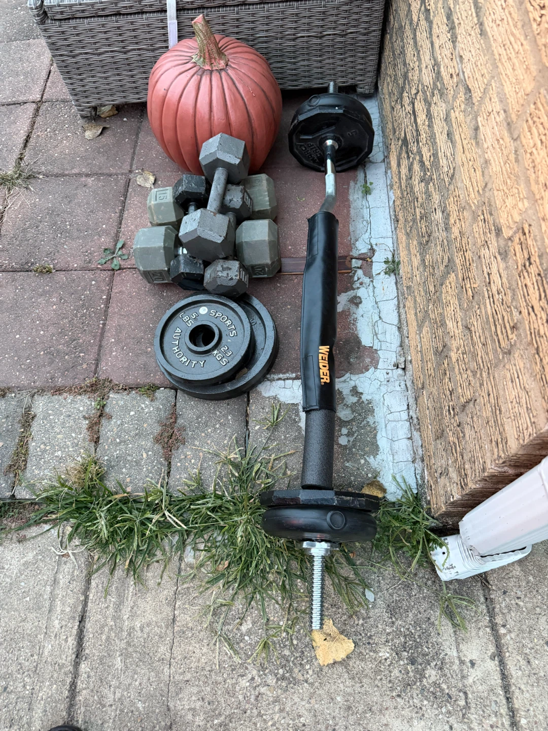 Weight Lifting Set with Dumbbells and Bar