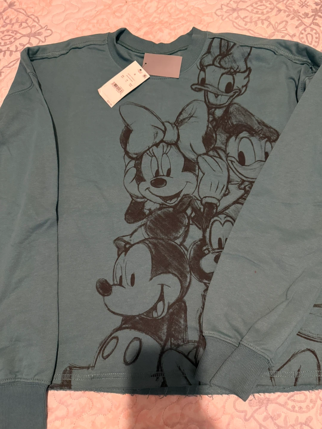 Disney Mickey & Friends Graphic Sweatshirt