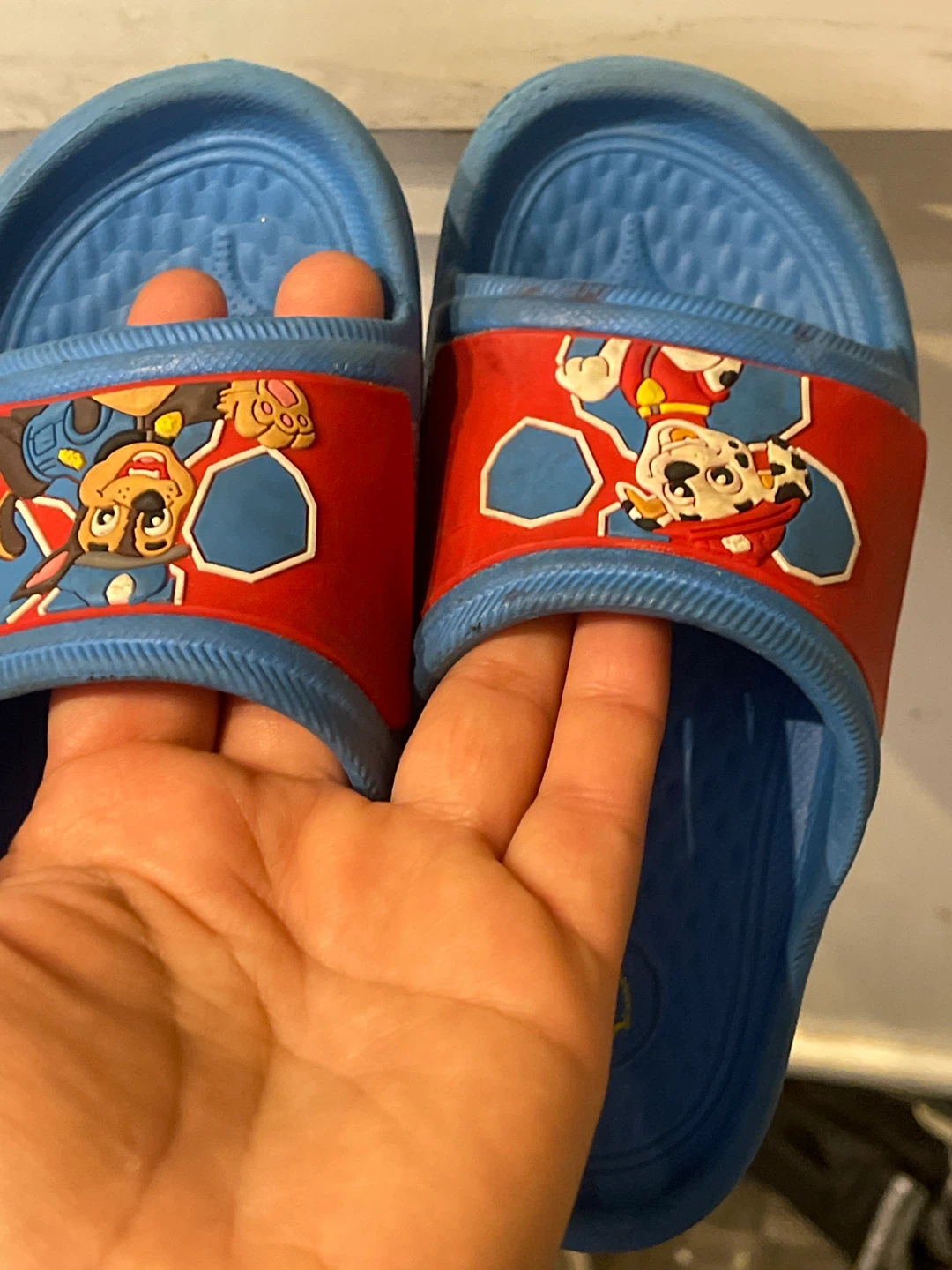 Paw Patrol Kids Slides Size 8