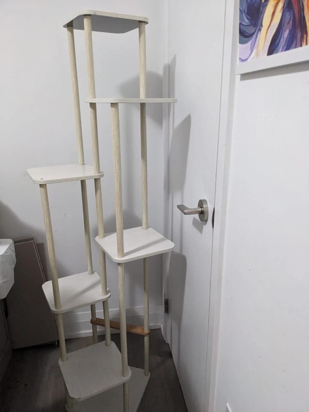 Indoor Houseplants & 6 Tier Plant Stand