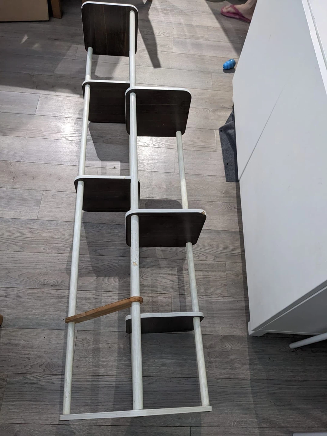 Indoor Houseplants & 6 Tier Plant Stand - photo 3