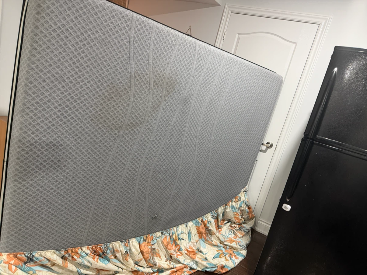 Queen mattress with protector - photo 3