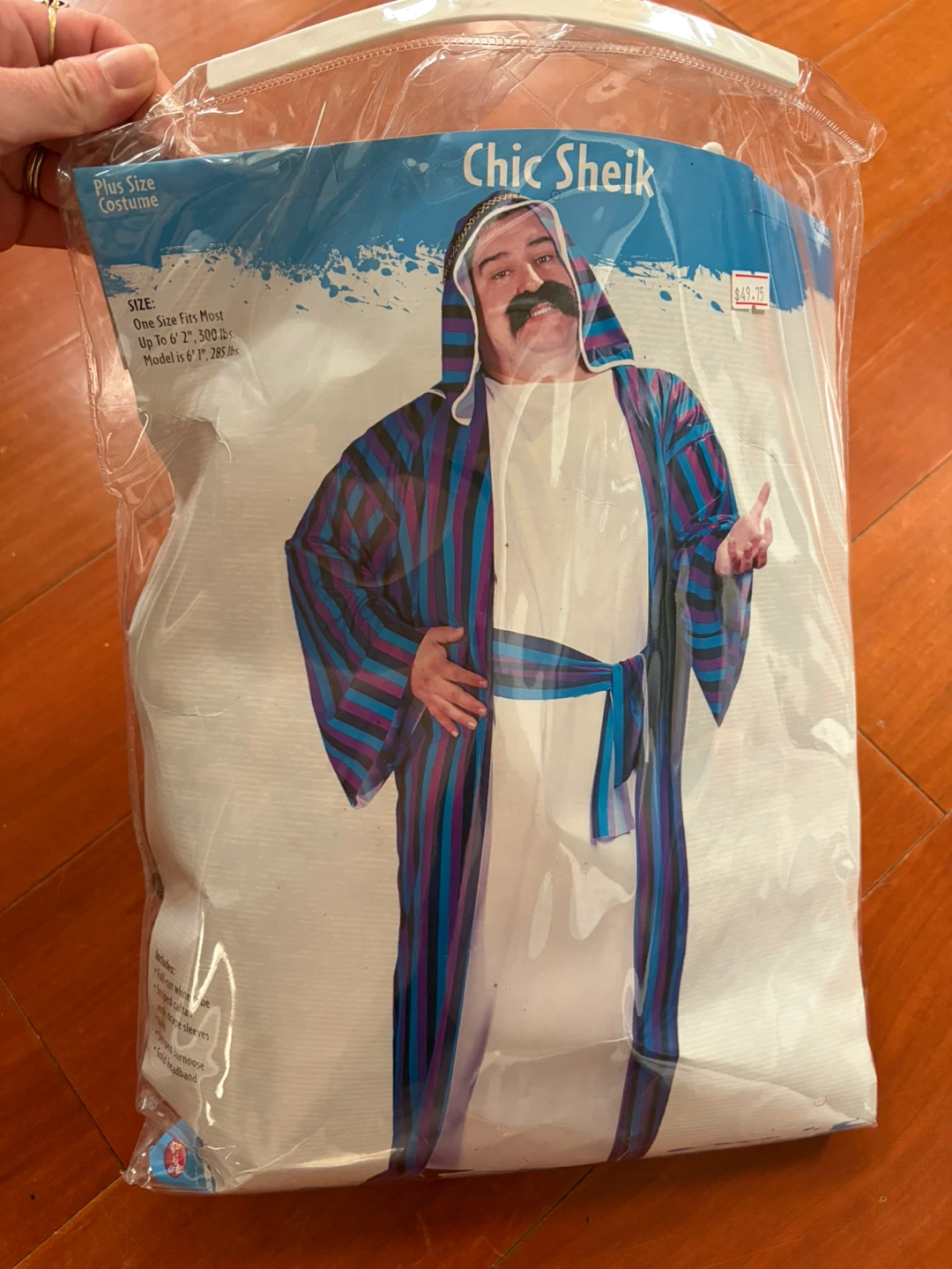 Chic Sheik Costume