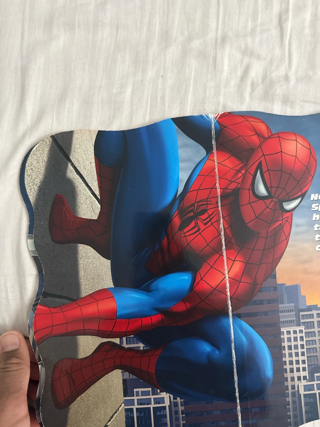 The Amazing Spider-Man Book - photo 3