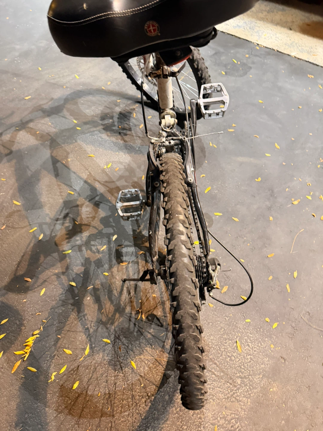 Hyper Bear Mountain Bike