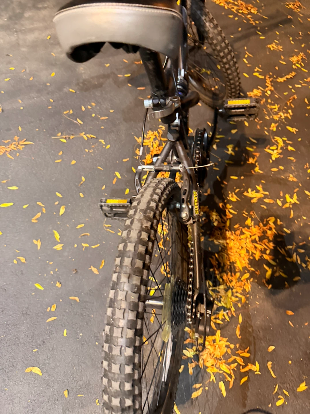 Hyper Bear Mountain Bike - photo 2