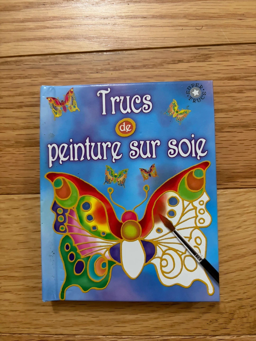 Trucs de peinture sur soie book
