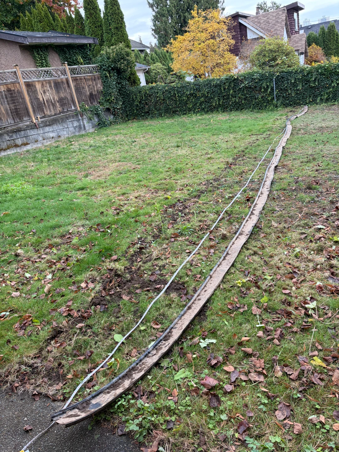 Black landscape edging - photo 3