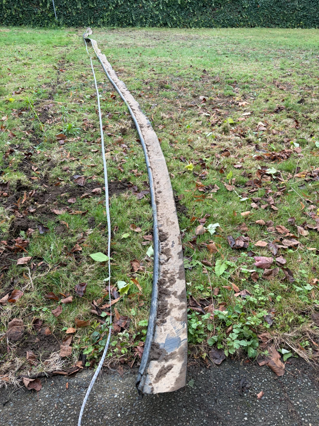 Black landscape edging - photo 5