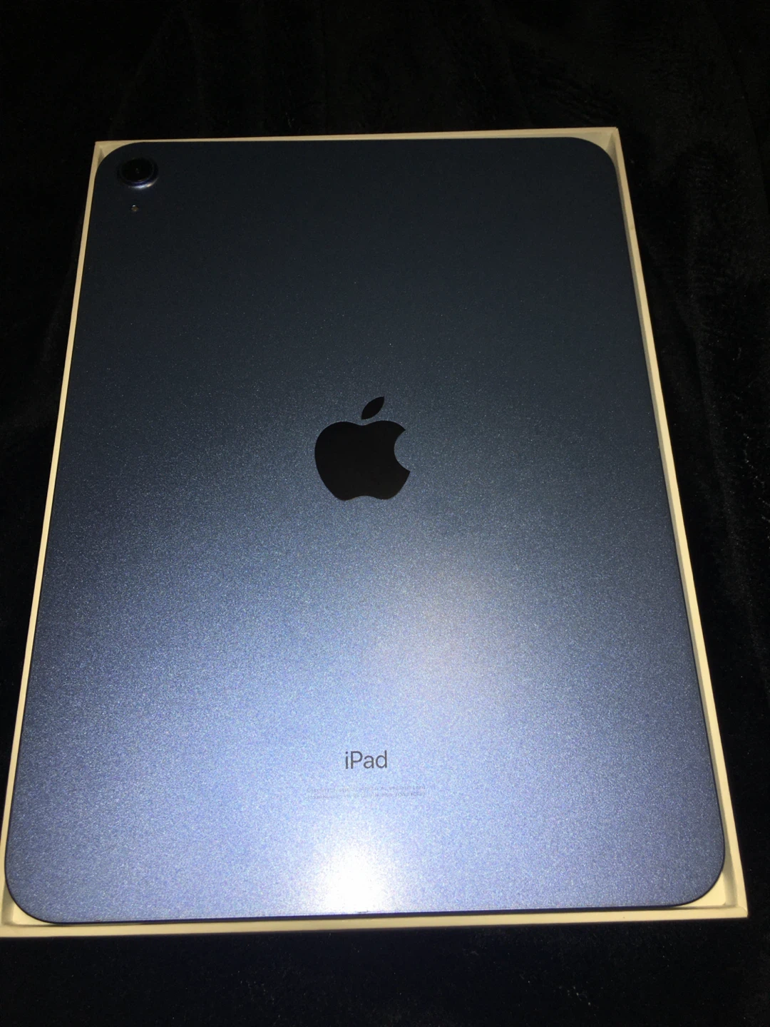 Apple iPad 10th Generation 64GB Wi-Fi Blue
