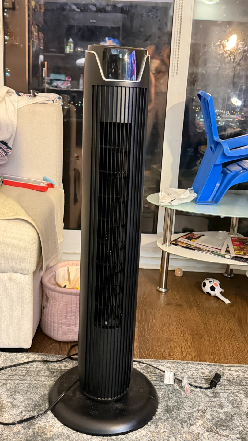 Black Tower Fan