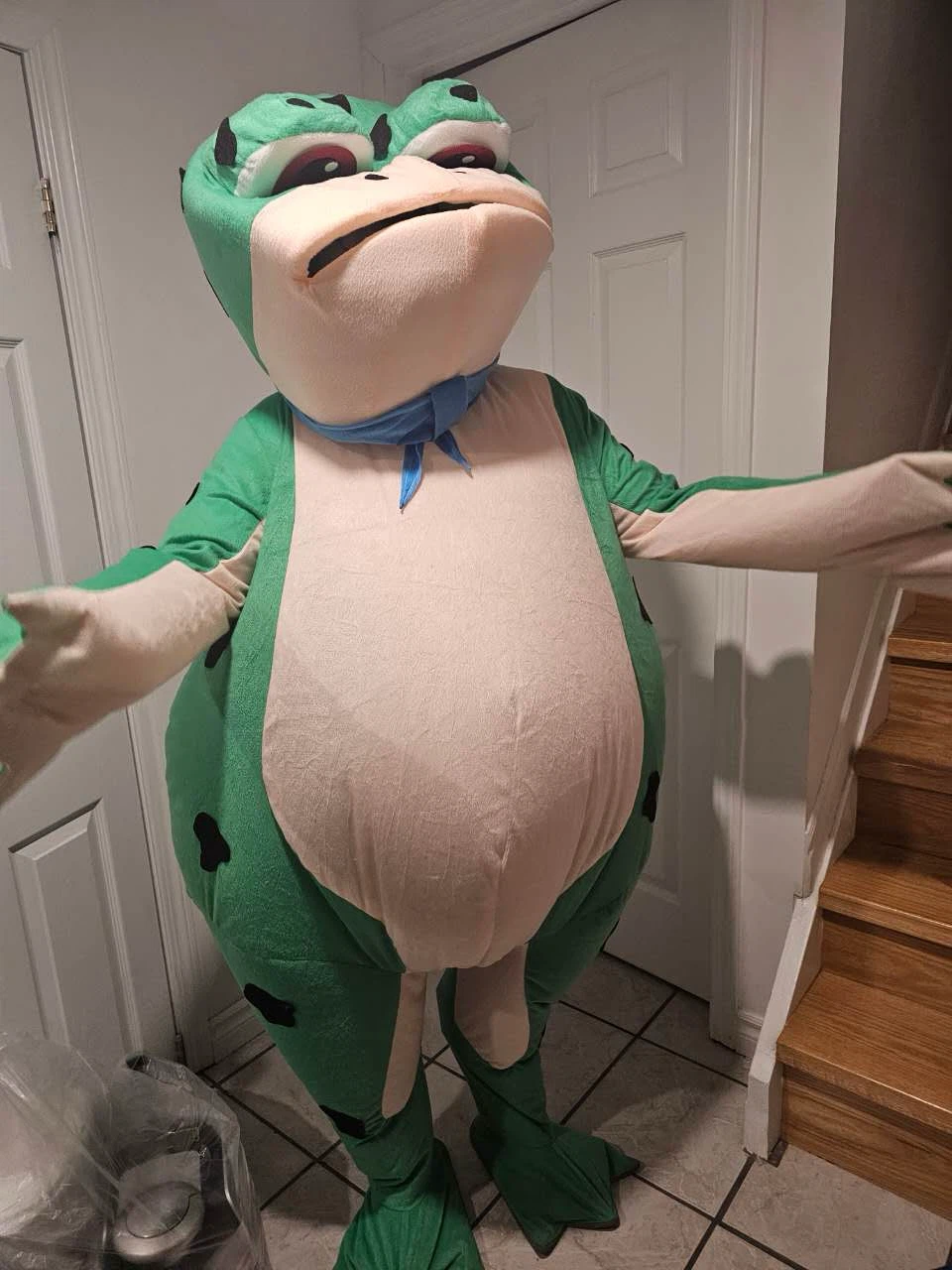 Full-Body Frog Mascot Costume