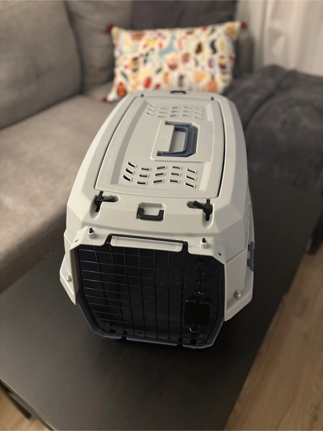 Small Pet Travel Carrier
