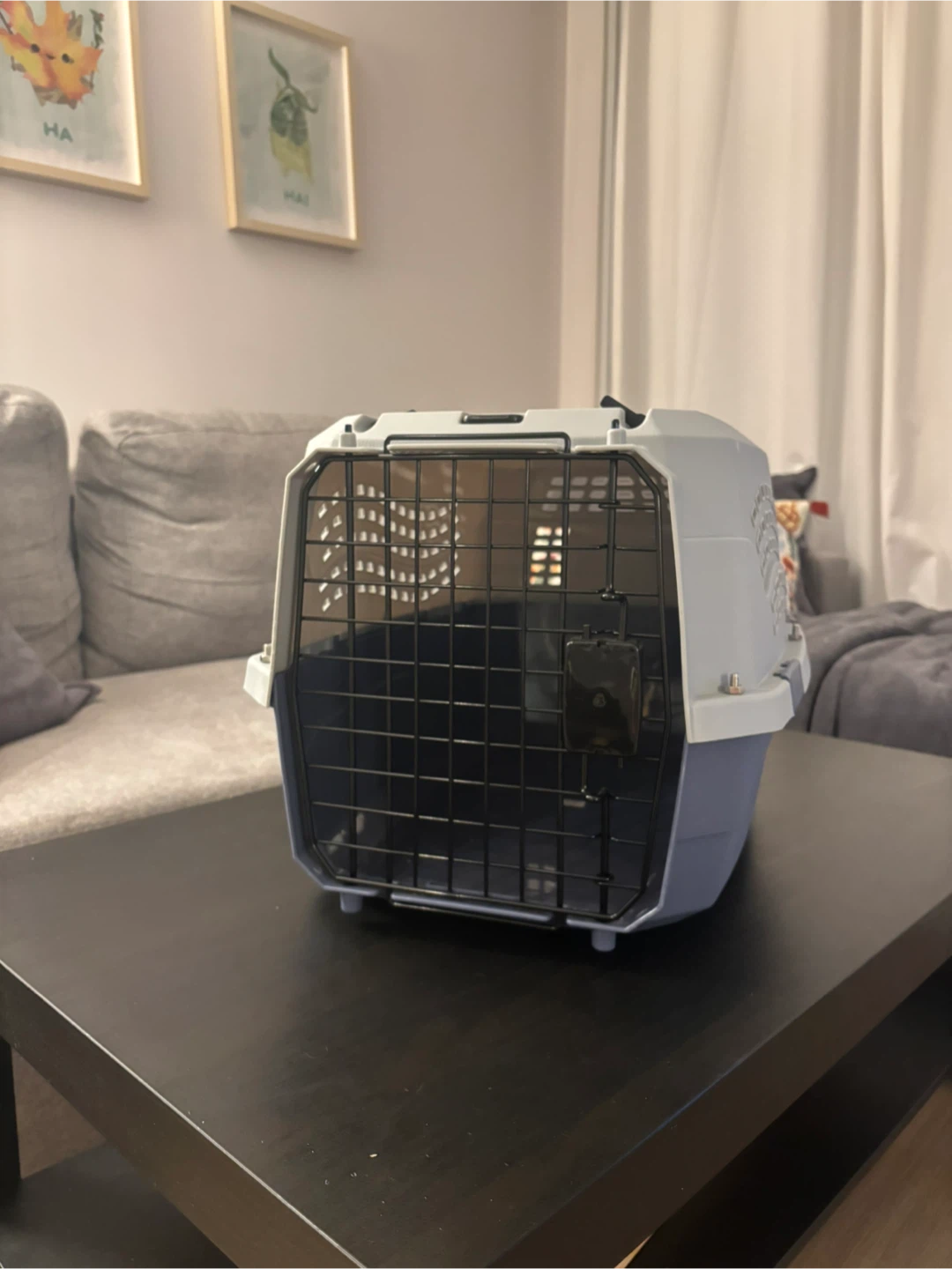 Small Pet Travel Carrier - photo 2