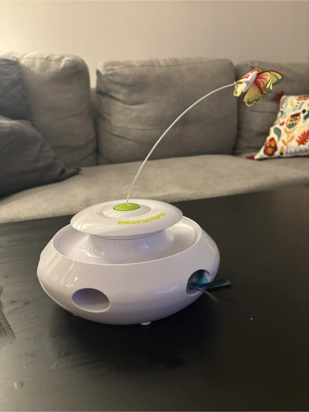 Interactives Cat Toy with Butterfly