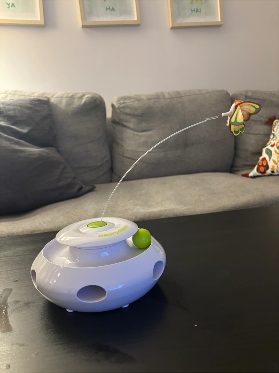 Interactives Cat Toy with Butterfly - photo 2