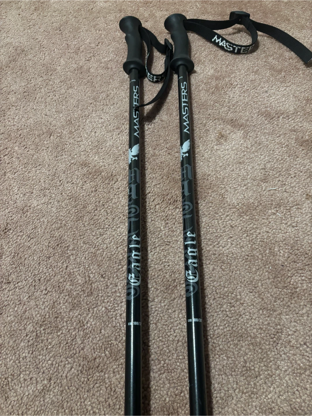 Masters Eagle Junior Ski Poles (90 cm or 100 cm)