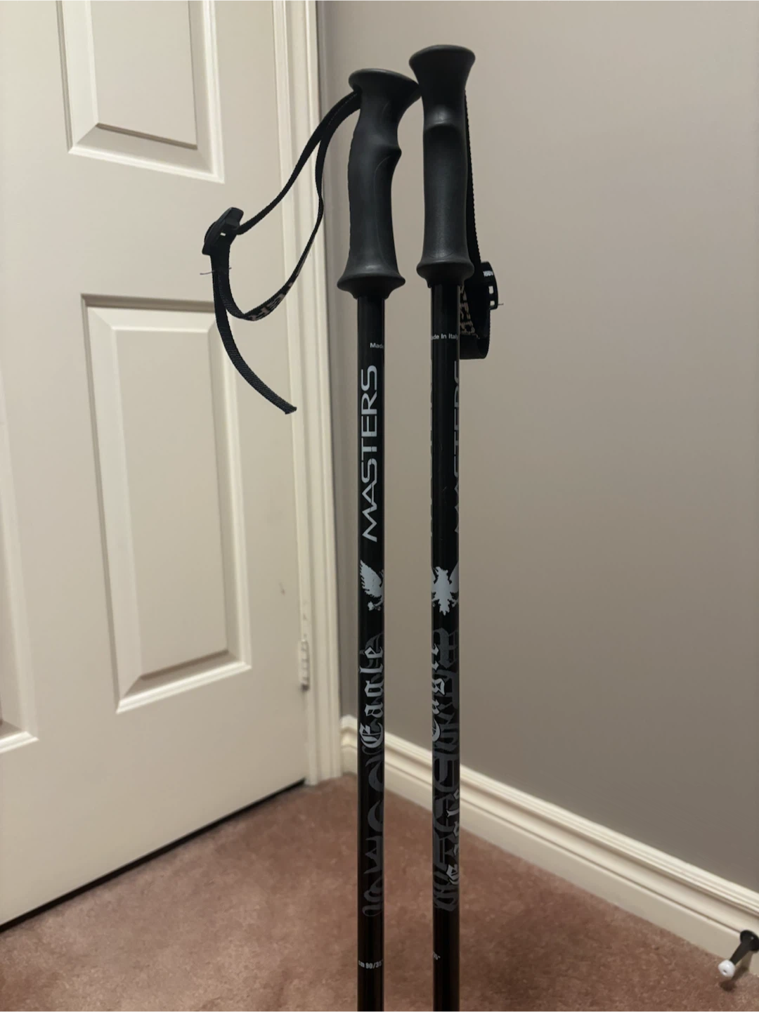Masters Eagle Junior Ski Poles (90 cm or 100 cm) - photo 2
