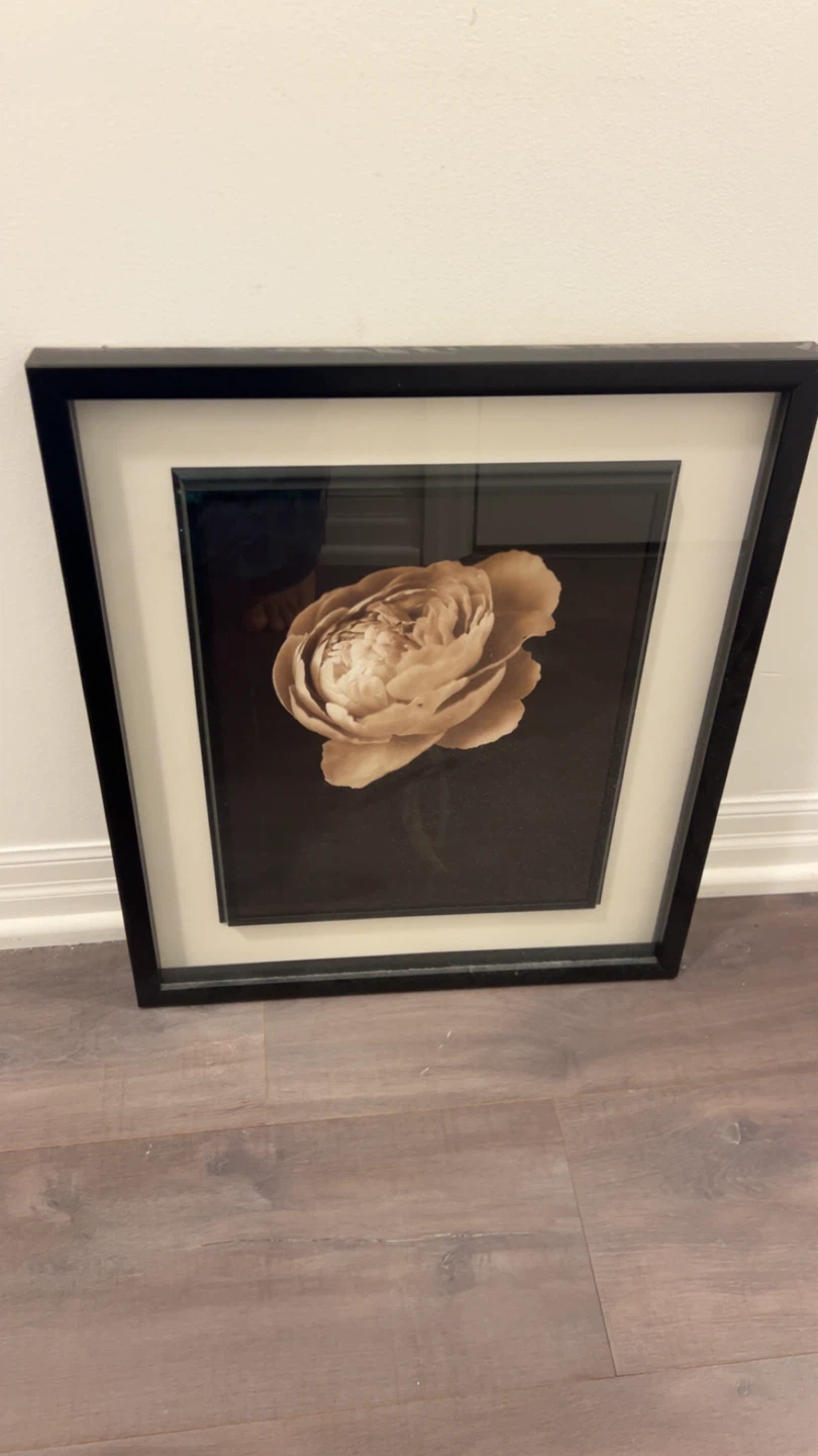 Framed Floral Wall Art