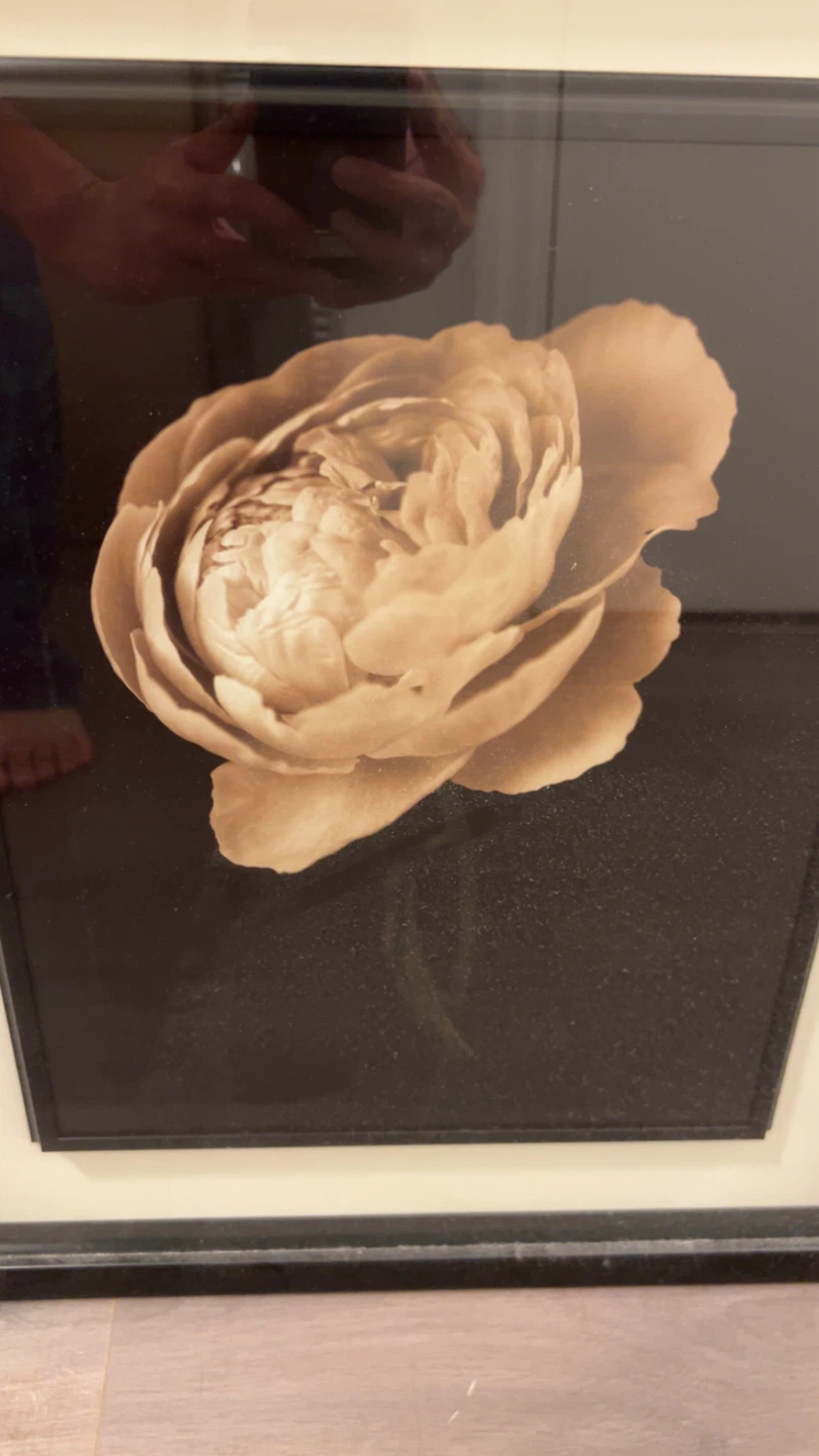 Framed Floral Wall Art - photo 2