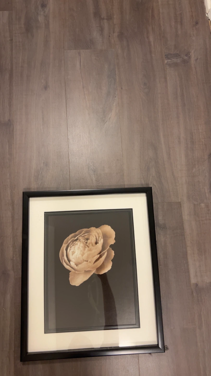 Framed Floral Wall Art - photo 4