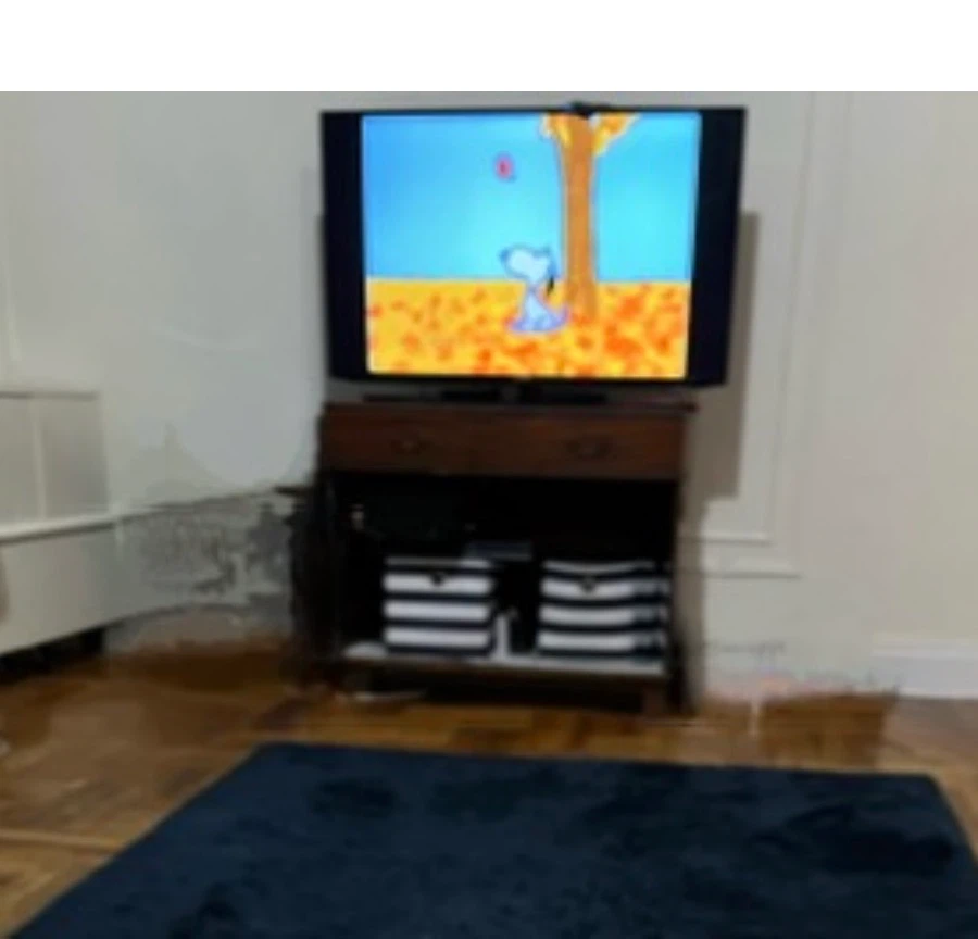 Samsung flat screen 40x22
