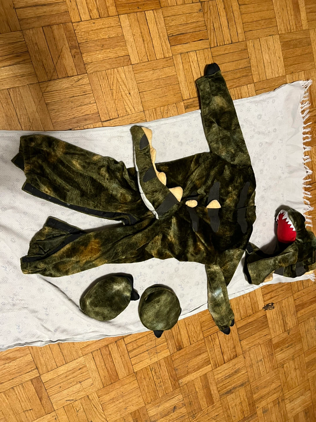 Childrens Dinosaur Costume