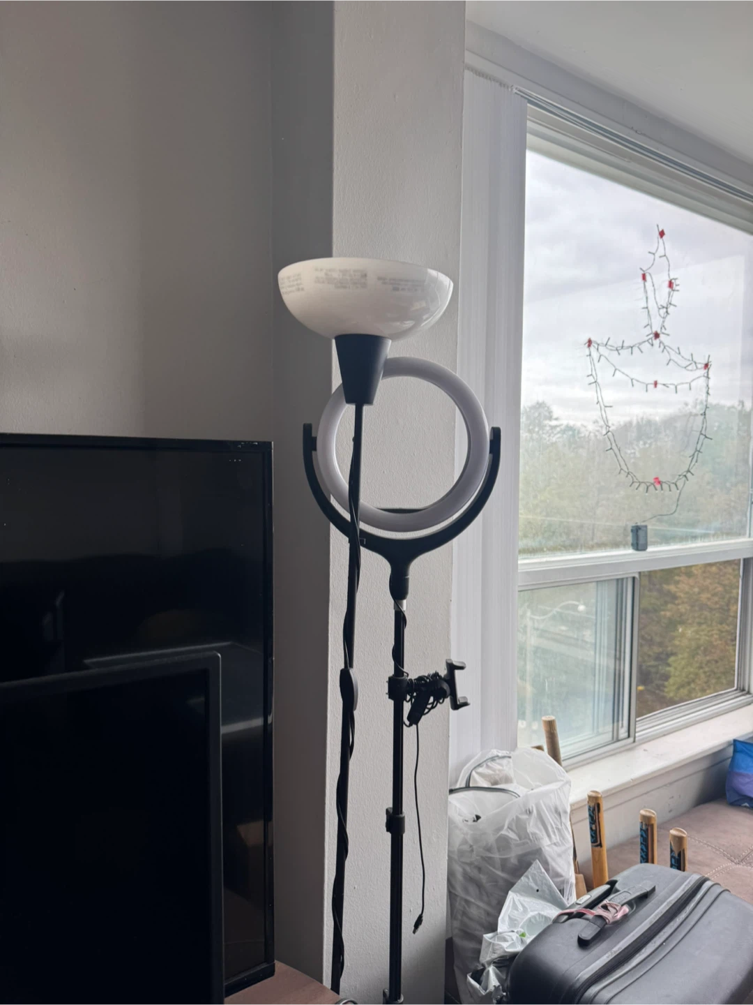 Floor lamp with integrated ring light