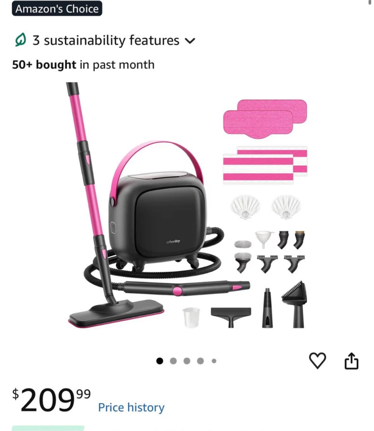 Schenley All-in-One Steam Cleaner