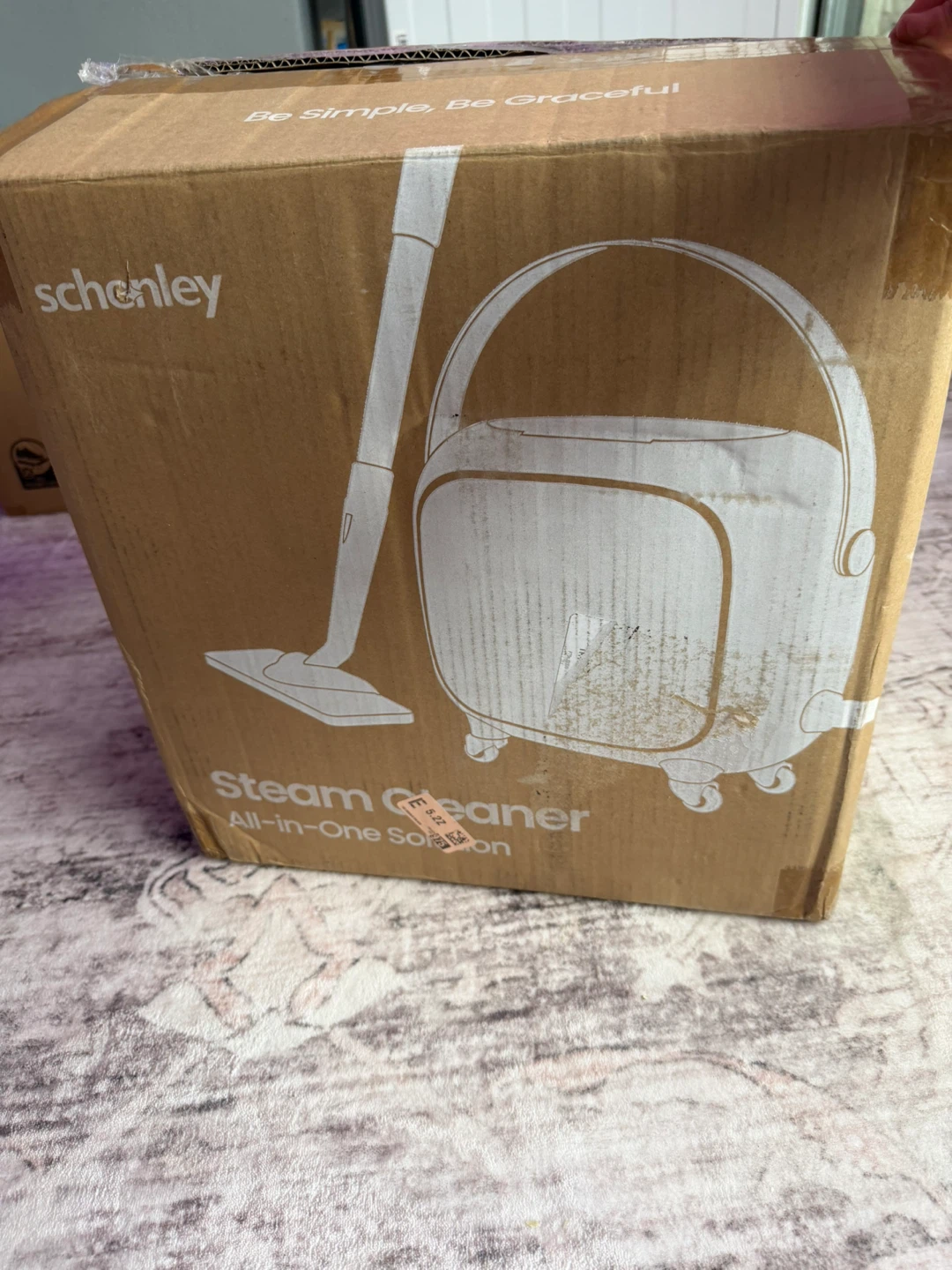 Schenley All-in-One Steam Cleaner - photo 4