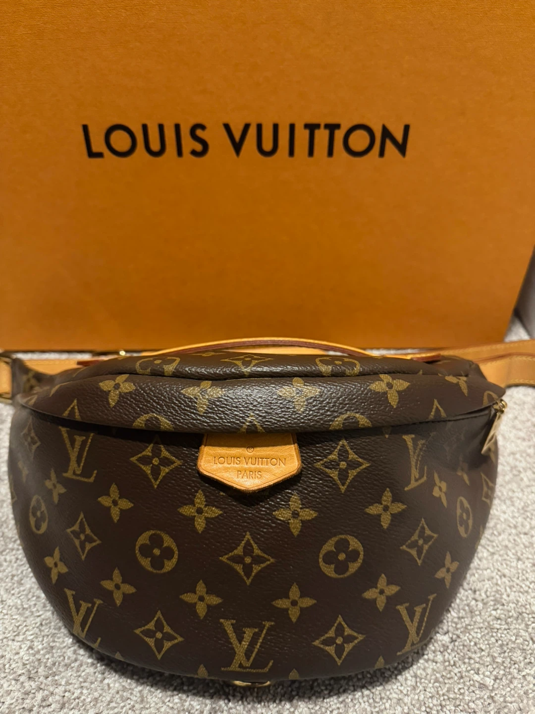 Louis Vuitton Bumbag Monogram Canvas