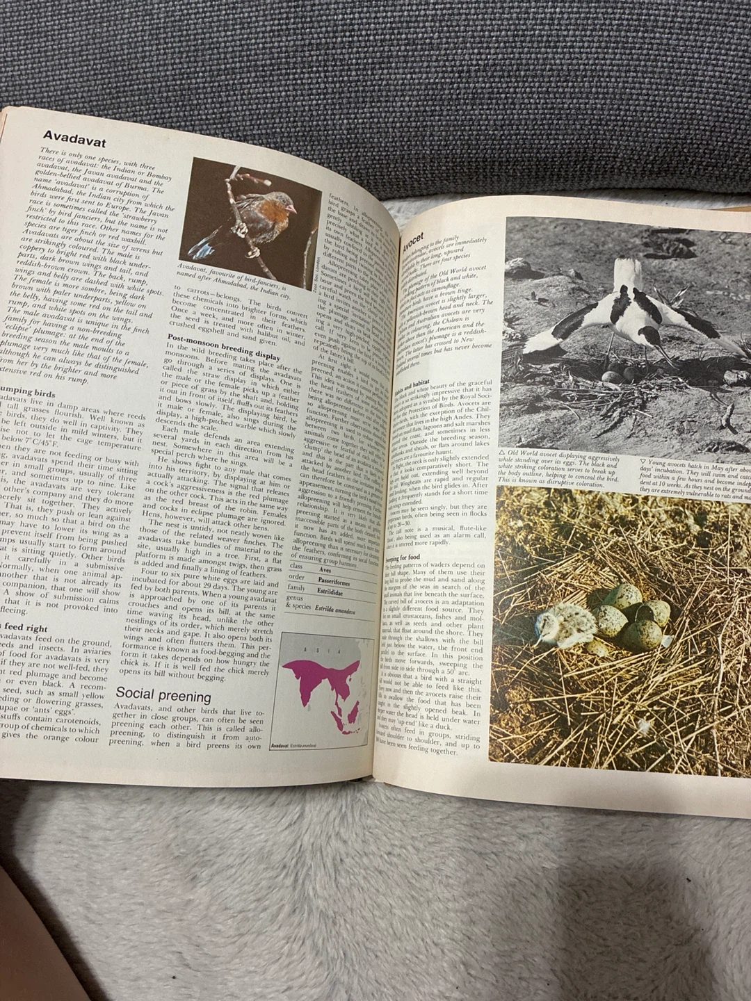 Wildlife Encyclopedia 1974 - photo 2
