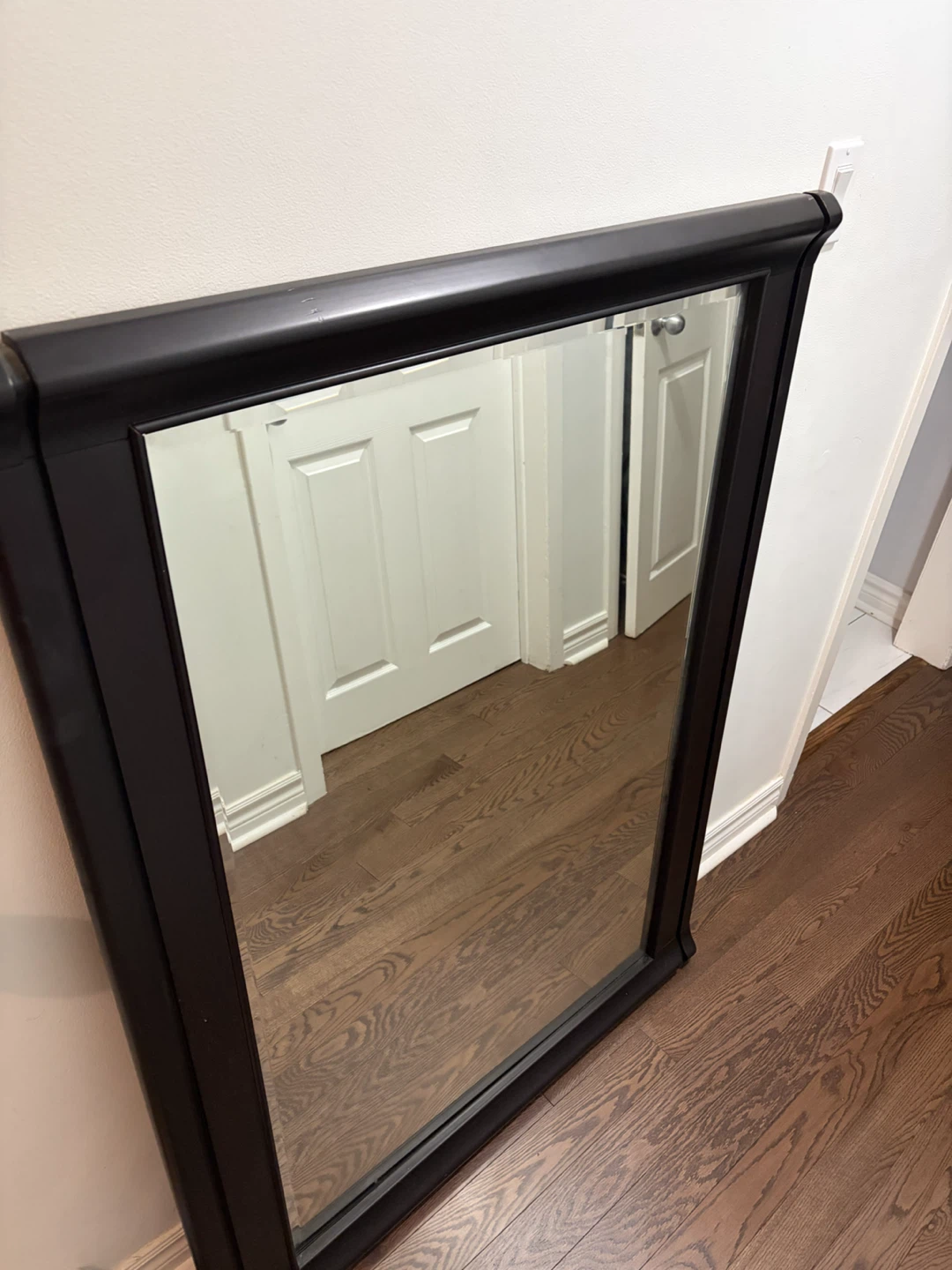 Large Mirror with Black Frame