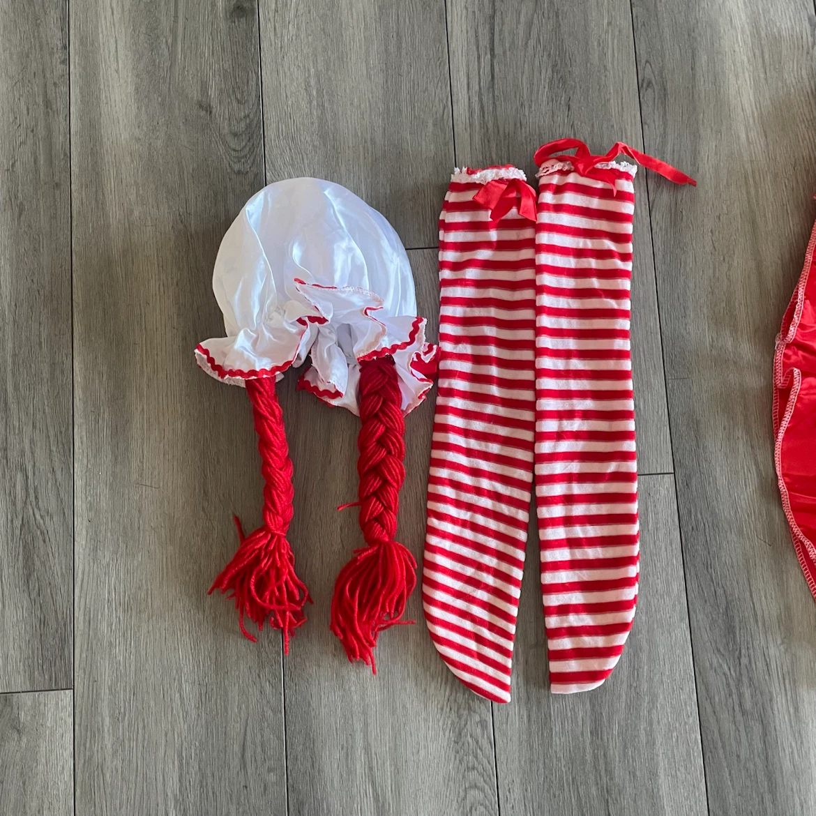Raggedy Ann Halloween Costume - photo 3