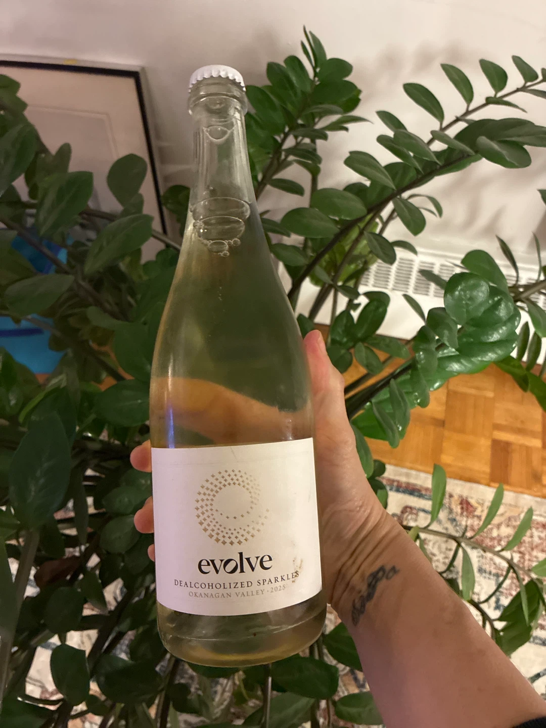 36 bottles of Evolve Dealcoholized Sparkles Okanagan Valley 2025