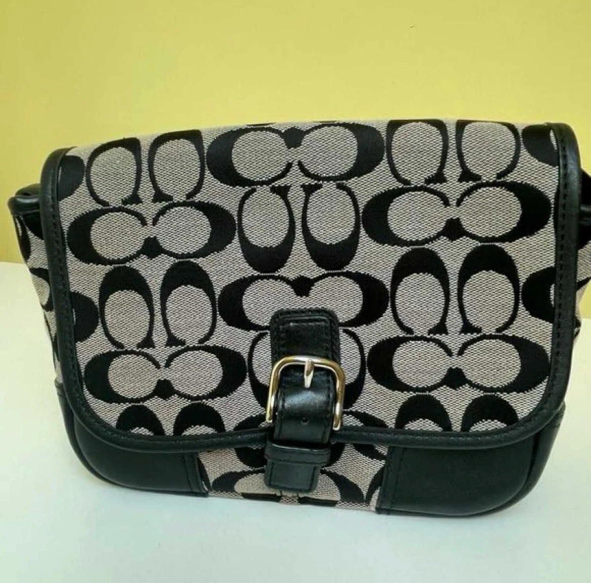 Coach Hadley Signature Field Bag