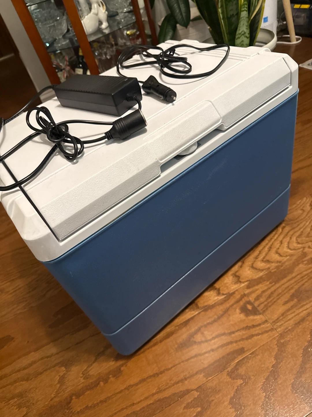 Coleman cooler