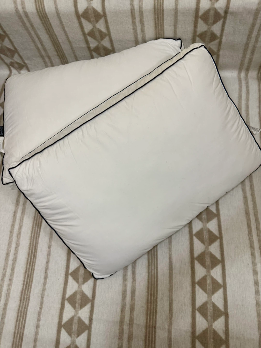 DOWNCOOL Goose Down Bed Pillows Queen Size Set of 2