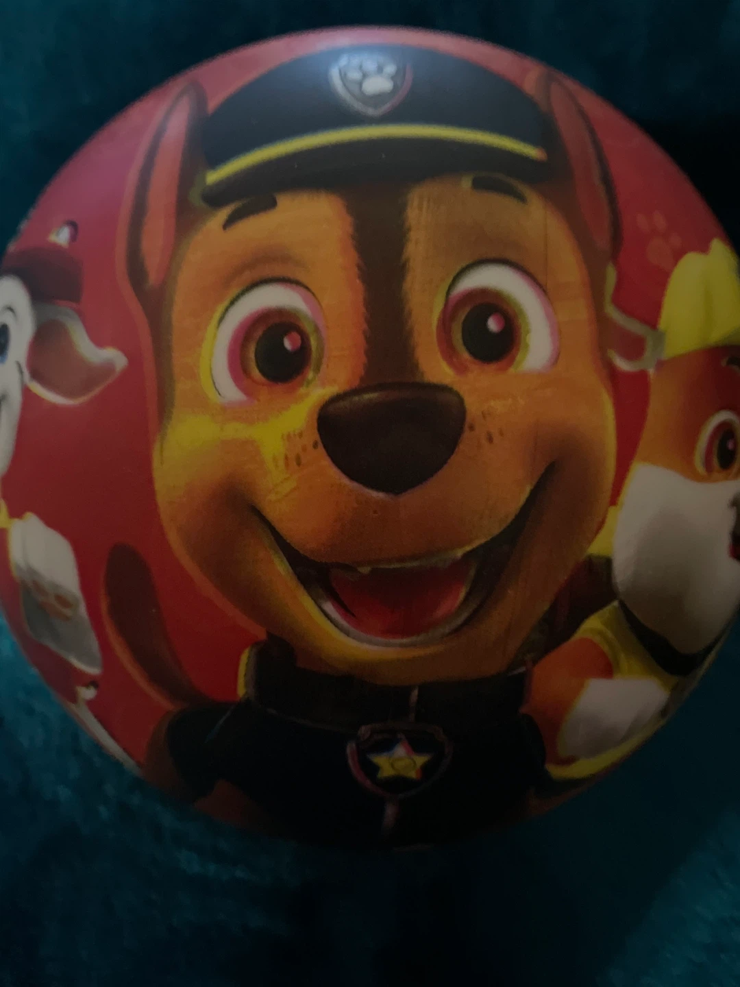 Paw patrol