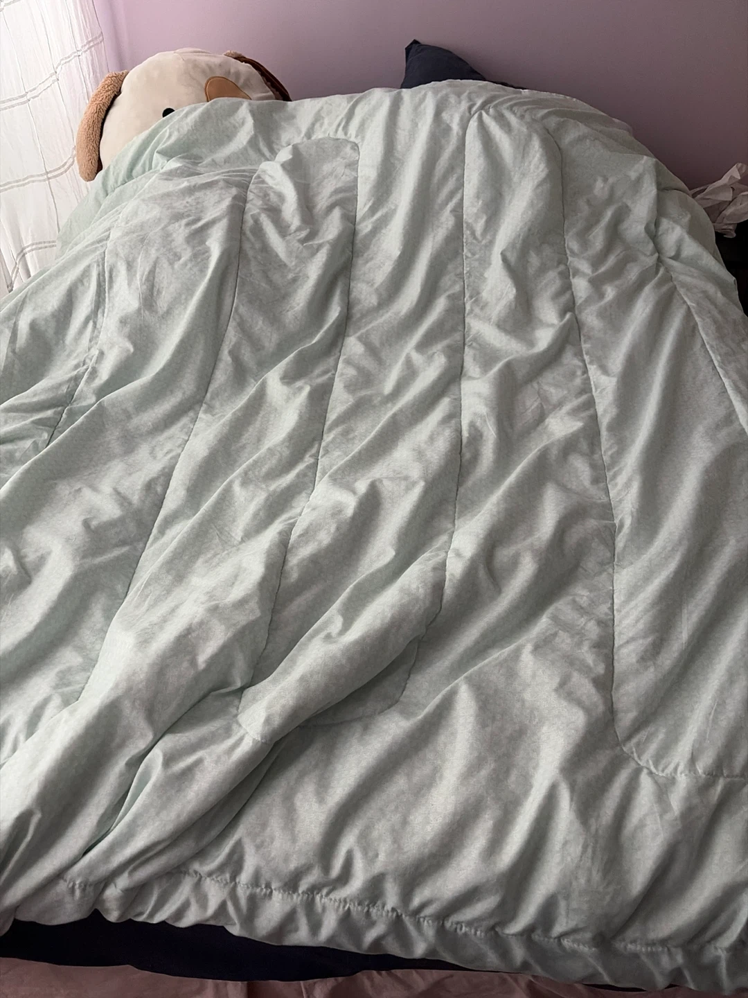 Light Green Quilted Comforter - queen size