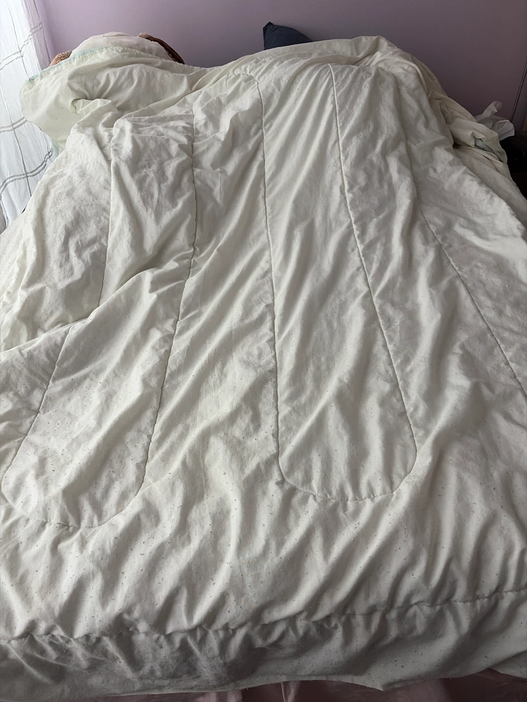 Light Green Quilted Comforter - queen size - photo 3
