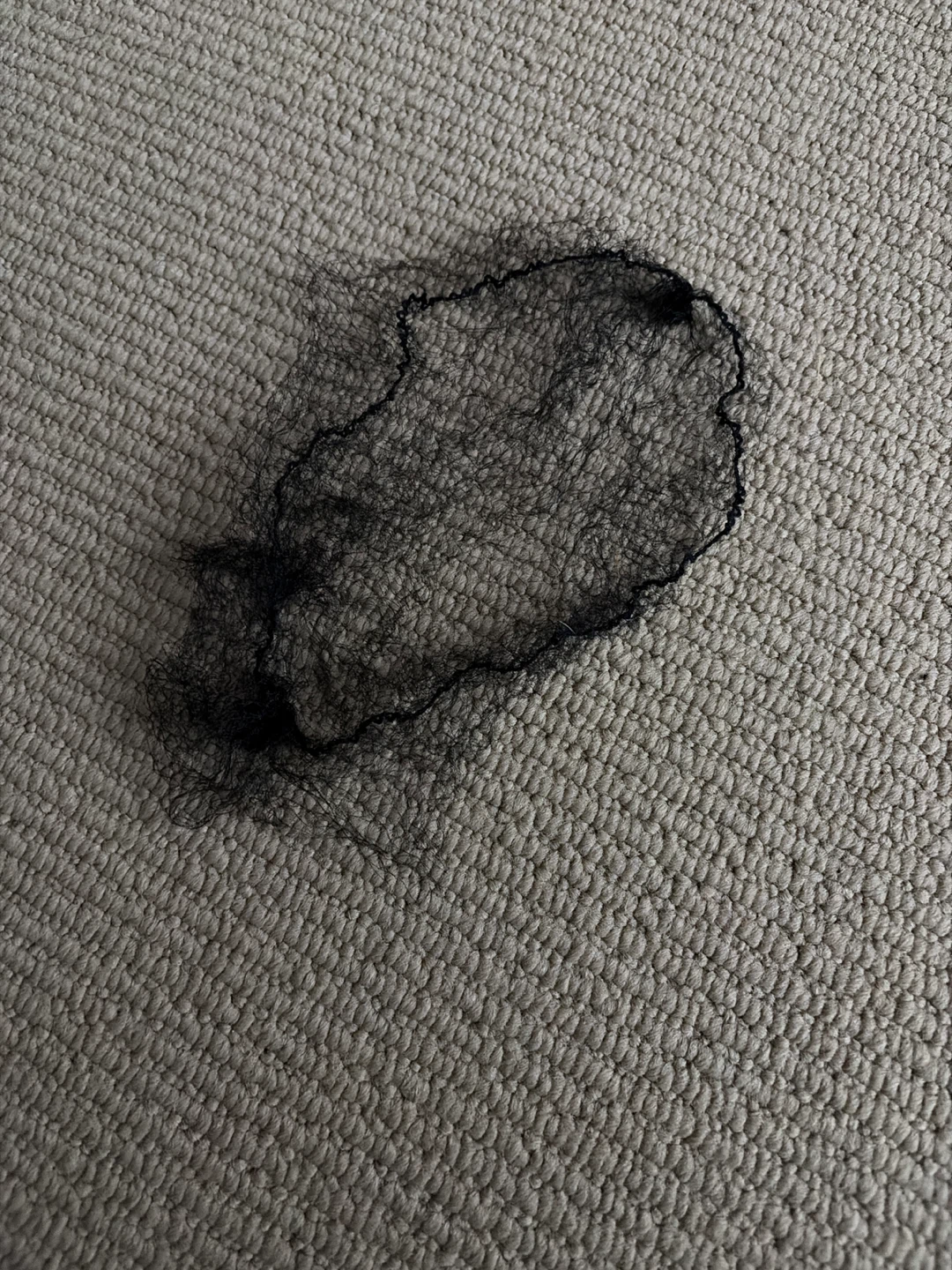 Black Hairnet