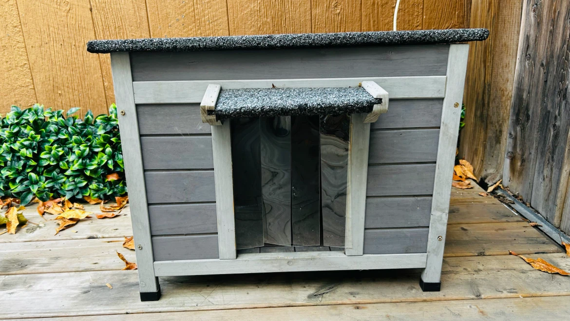 Indoor outdoor cat house